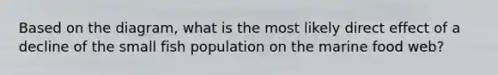 Based on the diagram, what is the most likely direct effect of a decline of the small fish population on the marine food web?