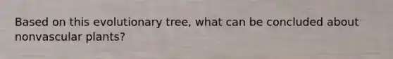 Based on this evolutionary tree, what can be concluded about nonvascular plants?