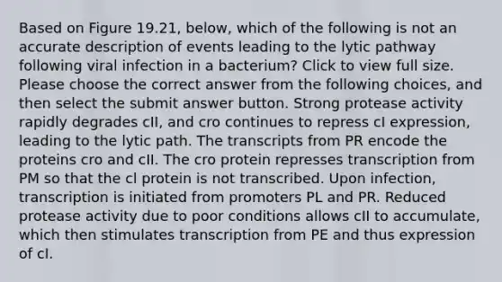 Based on Figure 19.21, below, which of the following is not an accurate description of events leading to the lytic pathway following viral infection in a bacterium? Click to view full size. Please choose the correct answer from the following choices, and then select the submit answer button. Strong protease activity rapidly degrades cII, and cro continues to repress cI expression, leading to the lytic path. The transcripts from PR encode the proteins cro and cII. The cro protein represses transcription from PM so that the cl protein is not transcribed. Upon infection, transcription is initiated from promoters PL and PR. Reduced protease activity due to poor conditions allows cII to accumulate, which then stimulates transcription from PE and thus expression of cI.