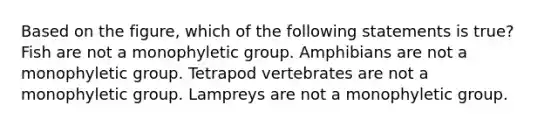 Based on the figure, which of the following statements is true? Fish are not a monophyletic group. Amphibians are not a monophyletic group. Tetrapod vertebrates are not a monophyletic group. Lampreys are not a monophyletic group.