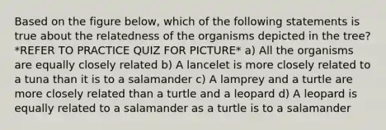 Based on the figure below, which of the following statements is true about the relatedness of the organisms depicted in the tree? *REFER TO PRACTICE QUIZ FOR PICTURE* a) All the organisms are equally closely related b) A lancelet is more closely related to a tuna than it is to a salamander c) A lamprey and a turtle are more closely related than a turtle and a leopard d) A leopard is equally related to a salamander as a turtle is to a salamander