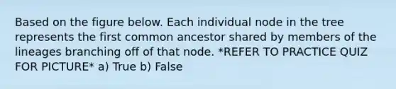 Based on the figure below. Each individual node in the tree represents the first common ancestor shared by members of the lineages branching off of that node. *REFER TO PRACTICE QUIZ FOR PICTURE* a) True b) False