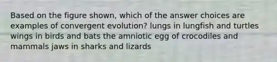 Based on the figure shown, which of the answer choices are examples of convergent evolution? lungs in lungfish and turtles wings in birds and bats the amniotic egg of crocodiles and mammals jaws in sharks and lizards