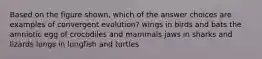 Based on the figure shown, which of the answer choices are examples of convergent evolution? wings in birds and bats the amniotic egg of crocodiles and mammals jaws in sharks and lizards lungs in lungfish and turtles