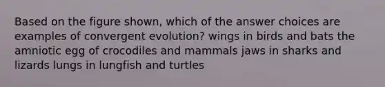 Based on the figure shown, which of the answer choices are examples of convergent evolution? wings in birds and bats the amniotic egg of crocodiles and mammals jaws in sharks and lizards lungs in lungfish and turtles