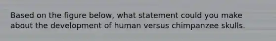 Based on the figure below, what statement could you make about the development of human versus chimpanzee skulls.