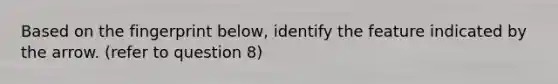 Based on the fingerprint below, identify the feature indicated by the arrow. (refer to question 8)