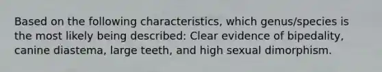 Based on the following characteristics, which genus/species is the most likely being described: Clear evidence of bipedality, canine diastema, large teeth, and high sexual dimorphism.