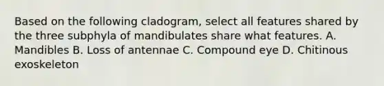 Based on the following cladogram, select all features shared by the three subphyla of mandibulates share what features. A. Mandibles B. Loss of antennae C. Compound eye D. Chitinous exoskeleton