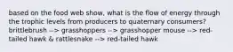 based on the food web show, what is the flow of energy through the trophic levels from producers to quaternary consumers? brittlebrush --> grasshoppers --> grasshopper mouse --> red-tailed hawk & rattlesnake --> red-tailed hawk