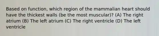 Based on function, which region of the mammalian heart should have the thickest walls (be the most muscular)? (A) The right atrium (B) The left atrium (C) The right ventricle (D) The left ventricle