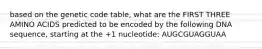 based on the genetic code table, what are the FIRST THREE AMINO ACIDS predicted to be encoded by the following DNA sequence, starting at the +1 nucleotide: AUGCGUAGGUAA