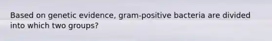 Based on genetic evidence, gram-positive bacteria are divided into which two groups?