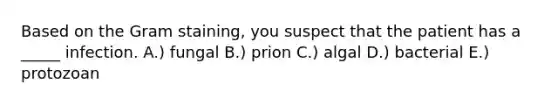 Based on the Gram staining, you suspect that the patient has a _____ infection. A.) fungal B.) prion C.) algal D.) bacterial E.) protozoan