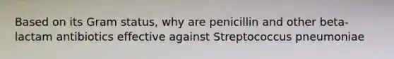 Based on its Gram status, why are penicillin and other beta-lactam antibiotics effective against Streptococcus pneumoniae