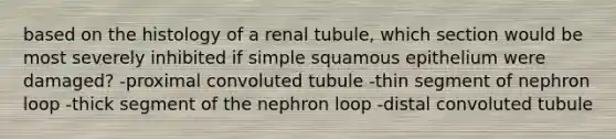 based on the histology of a renal tubule, which section would be most severely inhibited if simple squamous epithelium were damaged? -proximal convoluted tubule -thin segment of nephron loop -thick segment of the nephron loop -distal convoluted tubule