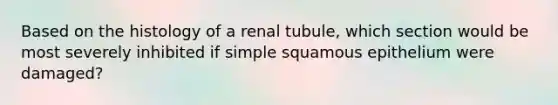 Based on the histology of a renal tubule, which section would be most severely inhibited if simple squamous epithelium were damaged?