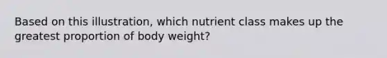 Based on this illustration, which nutrient class makes up the greatest proportion of body weight?