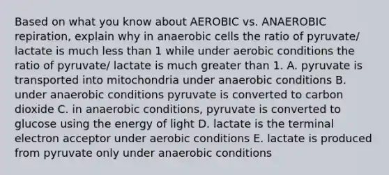 Based on what you know about AEROBIC vs. ANAEROBIC repiration, explain why in anaerobic cells the ratio of pyruvate/ lactate is much less than 1 while under aerobic conditions the ratio of pyruvate/ lactate is much greater than 1. A. pyruvate is transported into mitochondria under anaerobic conditions B. under anaerobic conditions pyruvate is converted to carbon dioxide C. in anaerobic conditions, pyruvate is converted to glucose using the energy of light D. lactate is the terminal electron acceptor under aerobic conditions E. lactate is produced from pyruvate only under anaerobic conditions