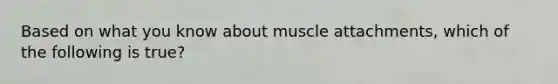 Based on what you know about muscle attachments, which of the following is true?