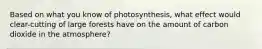 Based on what you know of photosynthesis, what effect would clear-cutting of large forests have on the amount of carbon dioxide in the atmosphere?