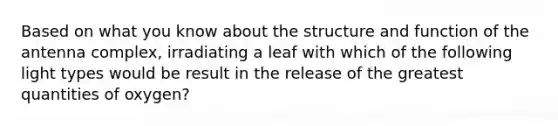 Based on what you know about the structure and function of the antenna complex, irradiating a leaf with which of the following light types would be result in the release of the greatest quantities of oxygen?