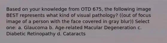 Based on your knowledge from OTD 675, the following image BEST represents what kind of visual pathology? ((out of focus image of a person with the face covered in gray blur)) Select one: a. Glaucoma b. Age-related Macular Degeneration c. Diabetic Retinopathy d. Cataracts