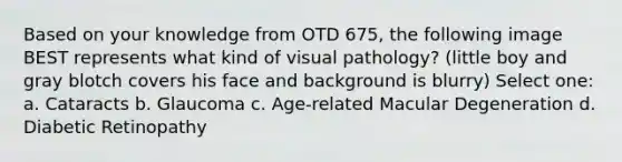 Based on your knowledge from OTD 675, the following image BEST represents what kind of visual pathology? (little boy and gray blotch covers his face and background is blurry) Select one: a. Cataracts b. Glaucoma c. Age-related Macular Degeneration d. Diabetic Retinopathy