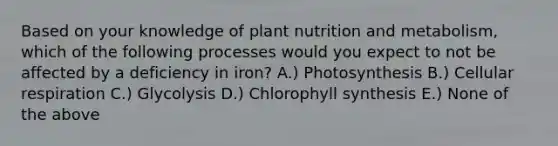 Based on your knowledge of plant nutrition and metabolism, which of the following processes would you expect to not be affected by a deficiency in iron? A.) Photosynthesis B.) Cellular respiration C.) Glycolysis D.) Chlorophyll synthesis E.) None of the above