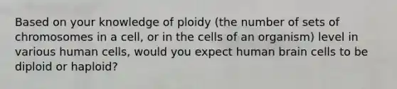 Based on your knowledge of ploidy (the number of sets of chromosomes in a cell, or in the cells of an organism) level in various human cells, would you expect human brain cells to be diploid or haploid?