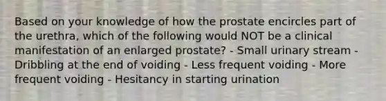 Based on your knowledge of how the prostate encircles part of the urethra, which of the following would NOT be a clinical manifestation of an enlarged prostate? - Small urinary stream - Dribbling at the end of voiding - Less frequent voiding - More frequent voiding - Hesitancy in starting urination