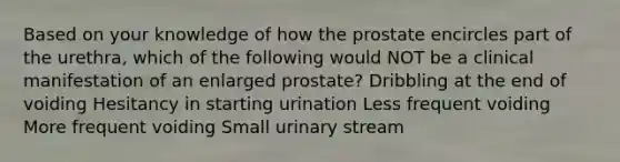 Based on your knowledge of how the prostate encircles part of the urethra, which of the following would NOT be a clinical manifestation of an enlarged prostate? Dribbling at the end of voiding Hesitancy in starting urination Less frequent voiding More frequent voiding Small urinary stream