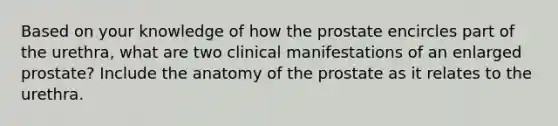 Based on your knowledge of how the prostate encircles part of the urethra, what are two clinical manifestations of an enlarged prostate? Include the anatomy of the prostate as it relates to the urethra.