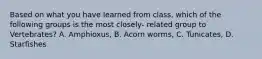 Based on what you have learned from class, which of the following groups is the most closely- related group to Vertebrates? A. Amphioxus, B. Acorn worms, C. Tunicates, D. Starfishes