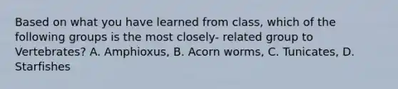 Based on what you have learned from class, which of the following groups is the most closely- related group to Vertebrates? A. Amphioxus, B. Acorn worms, C. Tunicates, D. Starfishes