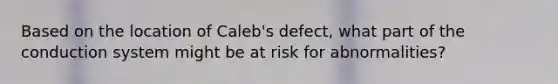 Based on the location of Caleb's defect, what part of the conduction system might be at risk for abnormalities?