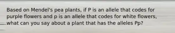 Based on Mendel's pea plants, if P is an allele that codes for purple flowers and p is an allele that codes for white flowers, what can you say about a plant that has the alleles Pp?