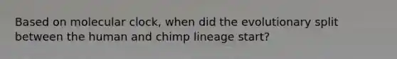 Based on molecular clock, when did the evolutionary split between the human and chimp lineage start?