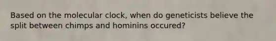 Based on the molecular clock, when do geneticists believe the split between chimps and hominins occured?