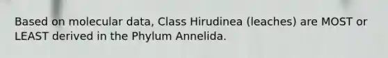 Based on molecular data, Class Hirudinea (leaches) are MOST or LEAST derived in the Phylum Annelida.