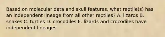 Based on molecular data and skull features, what reptile(s) has an independent lineage from all other reptiles? A. lizards B. snakes C. turtles D. crocodiles E. lizards and crocodiles have independent lineages