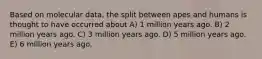 Based on molecular data, the split between apes and humans is thought to have occurred about A) 1 million years ago. B) 2 million years ago. C) 3 million years ago. D) 5 million years ago. E) 6 million years ago.