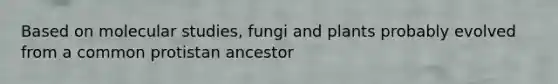 Based on molecular studies, fungi and plants probably evolved from a common protistan ancestor