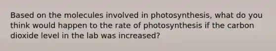 Based on the molecules involved in photosynthesis, what do you think would happen to the rate of photosynthesis if the carbon dioxide level in the lab was increased?