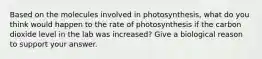 Based on the molecules involved in photosynthesis, what do you think would happen to the rate of photosynthesis if the carbon dioxide level in the lab was increased? Give a biological reason to support your answer.