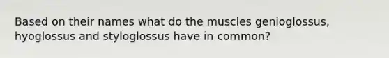 Based on their names what do the muscles genioglossus, hyoglossus and styloglossus have in common?