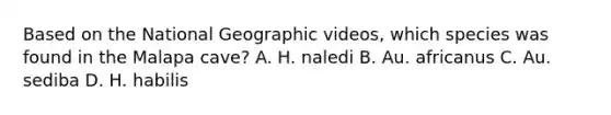 Based on the National Geographic videos, which species was found in the Malapa cave? A. H. naledi B. Au. africanus C. Au. sediba D. H. habilis