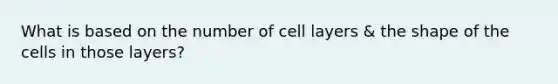 What is based on the number of cell layers & the shape of the cells in those layers?