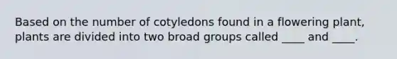 Based on the number of cotyledons found in a flowering plant, plants are divided into two broad groups called ____ and ____.