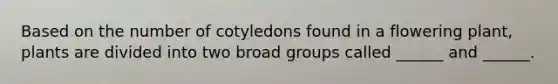 Based on the number of cotyledons found in a flowering plant, plants are divided into two broad groups called ______ and ______.